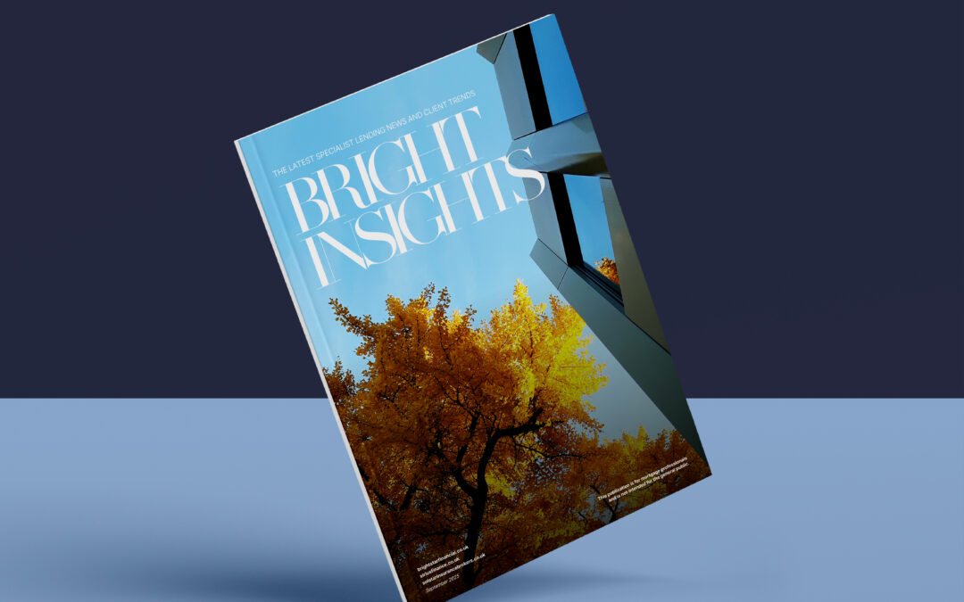 Bright Insights, September 2025