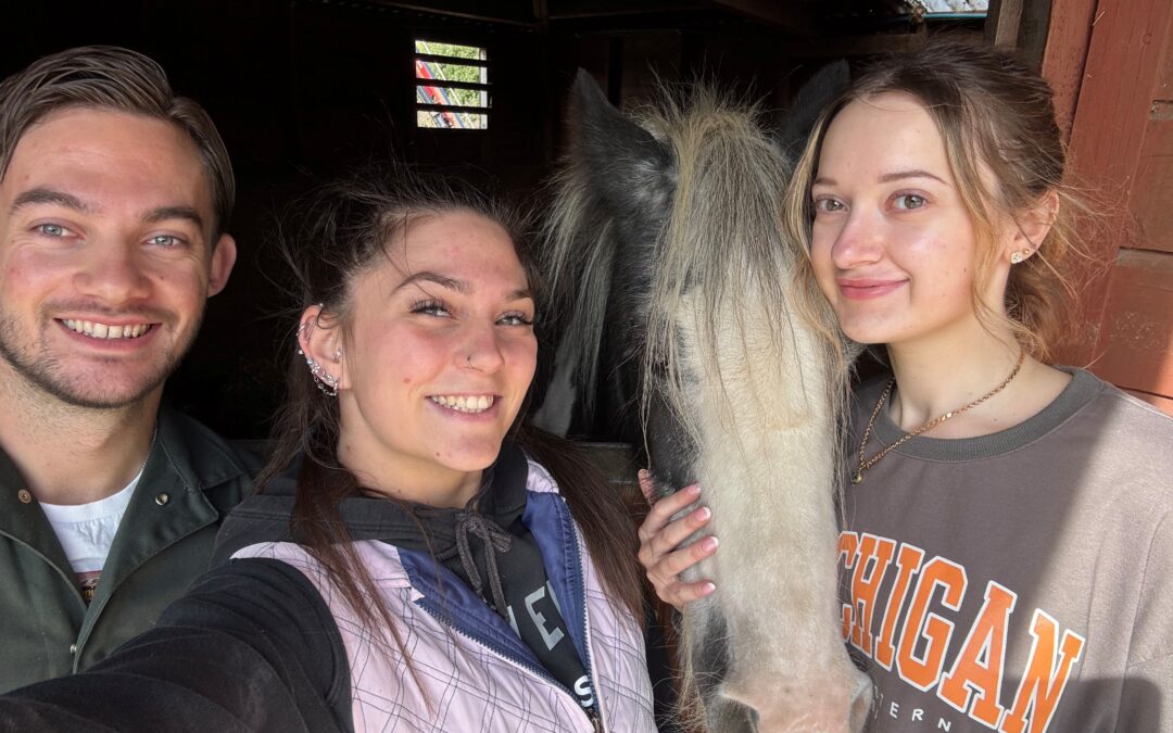 Community Projects at Hopefield Animal Sanctuary
